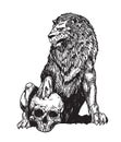 Tattoo art lion and skull hand drawing and sketch black and white isolated on white background