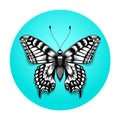 Tattoo beautiful butterfly for your shoulder. Realistic butterfly in blue circle. Black and white tattoo. Royalty Free Stock Photo