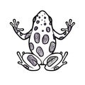 Tattoo black linework frog