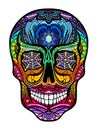 Tattoo colorful skull, black and white