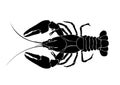 Tattoo of the crawfish Royalty Free Stock Photo