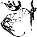 Tattoo Dragons Royalty Free Stock Photo