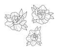 Tattoo flowers set dot work Royalty Free Stock Photo