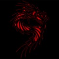 Tattoo red dragon black background Royalty Free Stock Photo