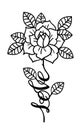 Tattoo Rose flower.Tattoo, mystic symbol with word Love