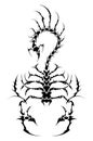 Tattoo scorpion