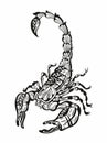 Scorpions Logo Template, Unique and fresh Scorpion Vector Illustrations