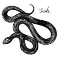 Tattoo sketch. Black poisonous snake