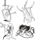 Tattoo sketches of knight shields with blades Royalty Free Stock Photo