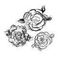 Tattoo studio emblems with professional equipment flowers and leaves anchor skull swallows isolated illustration