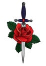 Tattoo style image of a dagger through a rose