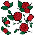 Tattoo style roses and buds. Vector Illustration