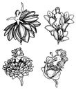 Tattoo women and flower hand drawing sketch black and white Royalty Free Stock Photo