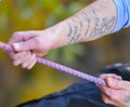 Tattooed climber grips the rope for abseiling