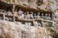 Tau tau, wooden statues representing dead men at burial cave, Tana Toraja, South Sulawesi, Indonesia Royalty Free Stock Photo