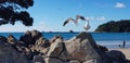 Tauranga beach, New Zealand, Mount Maunganui