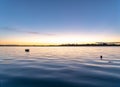 Tauranga Harbour sunrise glow across water at dawn.