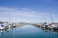 Tauranga Marina 1