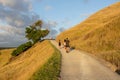 Tauranga New Zealand - January 12 2022: People walking up long slope on Mount Maunganui past tree towards the summit