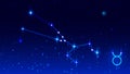 Taurus constellation in night starry sky. Zodiac sign taurus