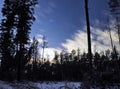 Pleiades open star cluster on night sky and clouds over winter forest Royalty Free Stock Photo