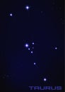 Taurus constellation Royalty Free Stock Photo