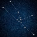 Taurus Constellation. Zodiac Sign Taurus Constellation