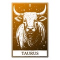 Taurus Illustration Clip Art Design Shape Royalty Free Stock Photo