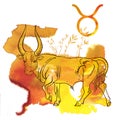 Taurus symbol. Horned bull on a bright orange and yellow watercolor splash texture. Astrology, fortune telling