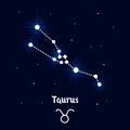 Taurus Zodiac constellation, astrological horoscope sign.Blue and white bright design, illustration vector Royalty Free Stock Photo