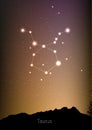 Taurus zodiac constellations sign with forest landscape silhouette on beautiful starry sky with galaxy and space behind