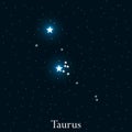 Taurus zodiac sign. Bright stars in the cosmos. Constellation Taurus. Vector Royalty Free Stock Photo