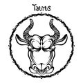 Taurus zodiac sign design form illustration doodle drawing tattoo and  freehand typography style Royalty Free Stock Photo