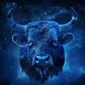 Taurus Zodiac Sign, Horoscope Symbol, Magic Astrology Bull, Taurus in Fantastic Night Sky Royalty Free Stock Photo