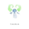 Taurus zodiac sign, part of zodiacal system watercolor vector illustration isolated on a white background