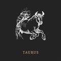 Taurus zodiac symbol, hand drawn in engraving style. Vector graphic retro illustration of astrological sign Bull. Royalty Free Stock Photo