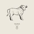 Taurus zodiac symbol, hand drawn Royalty Free Stock Photo