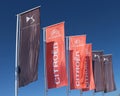 Flags of Citroen and its brand Ds Automobiles outside the local car dealership of the french automaker.