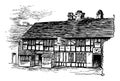 Tavern vintage illustration