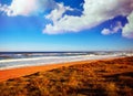 Tavernes de Valldigna beach dunes in Valencia