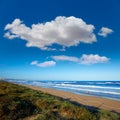 Tavernes de Valldigna beach dunes in Valencia