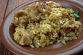 Tavuklu pilav Royalty Free Stock Photo