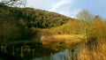 Tavy river near lopwell dam . Devon