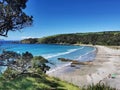 Tawharanui beach on the Pacific ocean side of the North Island of New Zealand in the summer afternoon