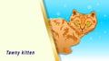 Tawny Cat banner