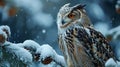 Tawny Owl snow