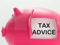 Tax Advice Piggy Bank Shows Advising About Taxes Royalty Free Stock Photo