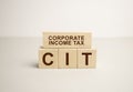 Tax income concept with polish tax forms and cIT word from tiles, means personal tax income in Poland