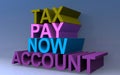 Tax pay now account Royalty Free Stock Photo