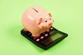 Tax savings. Piggy bank money savings. Investing gain profit. Calculate taxes. Piggy bank pig and calculator. Taxes and